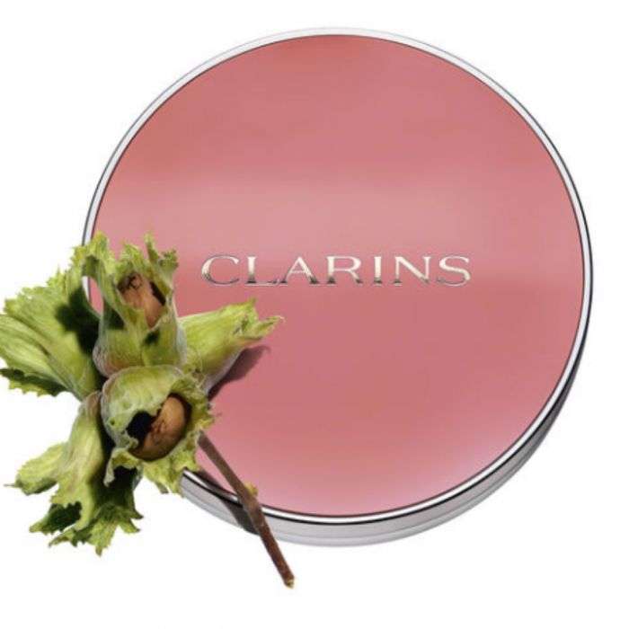Teint Joli Blush 05 - CLARINS